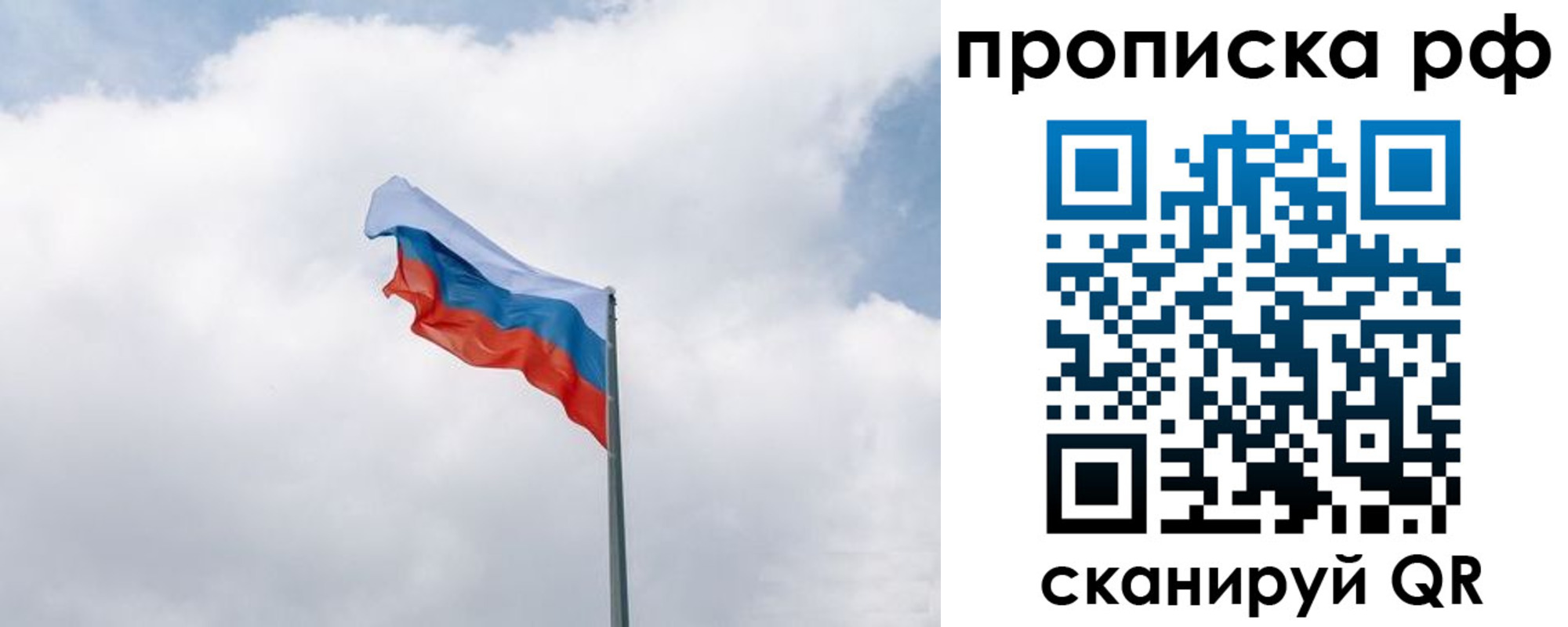 прописка гарантия в Сафоново